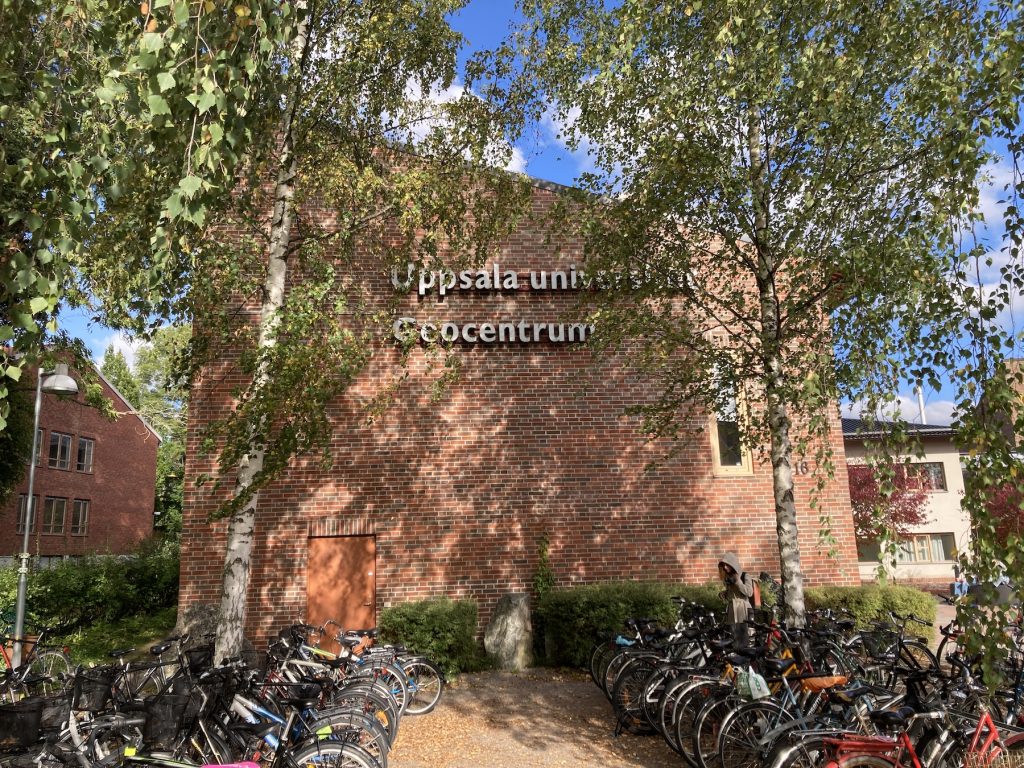 Picture of Geocentrum building with lots of bikes parked outside