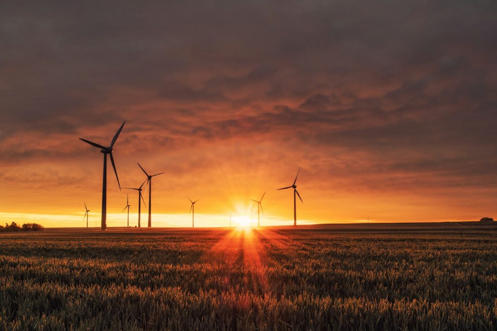 Wind power stations on a field in the sunset